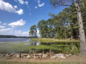 Cox Creek Lake Campground and Boat Launch