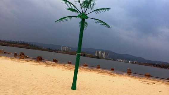 Yihai Park - Beach