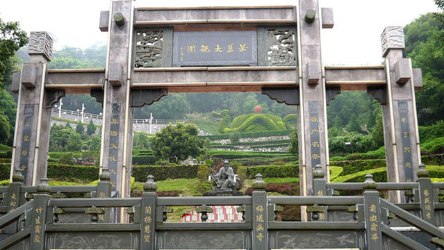 Tea Grand View Garden