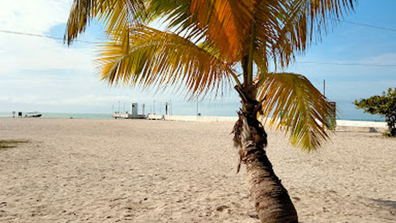 Playa Sur Celestún