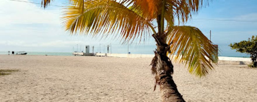 Playa Sur Celestún
