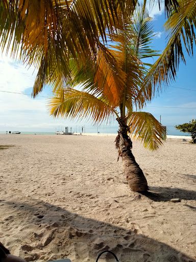 Playa Sur Celestún