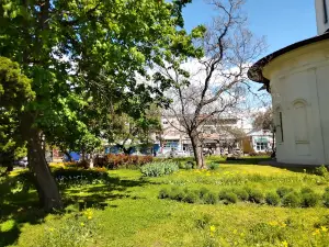 Buzau