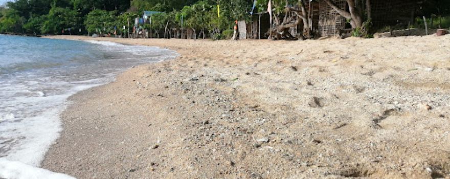 Abeja de Tabunan Beach
