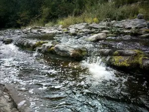 River Autocamp