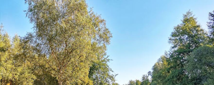 Camping Intercommunal Le Pâtis