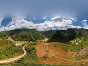 Cây cô đơn Tà Xùa