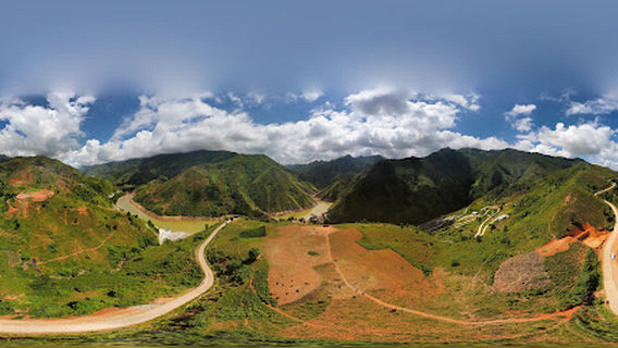 Cây cô đơn Tà Xùa