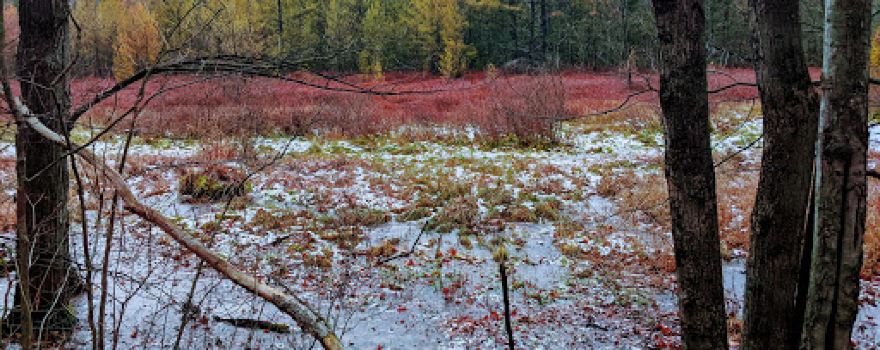 Ensley Township Nature Preserve