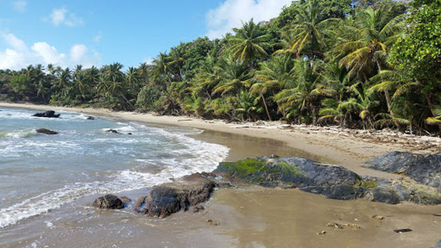 Centre Of Excellence Swimming Pool Complex