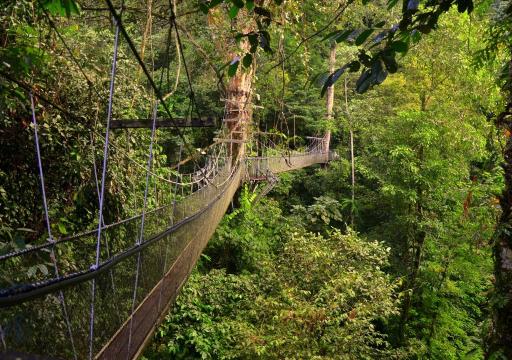 Gunung Mulu National Park
