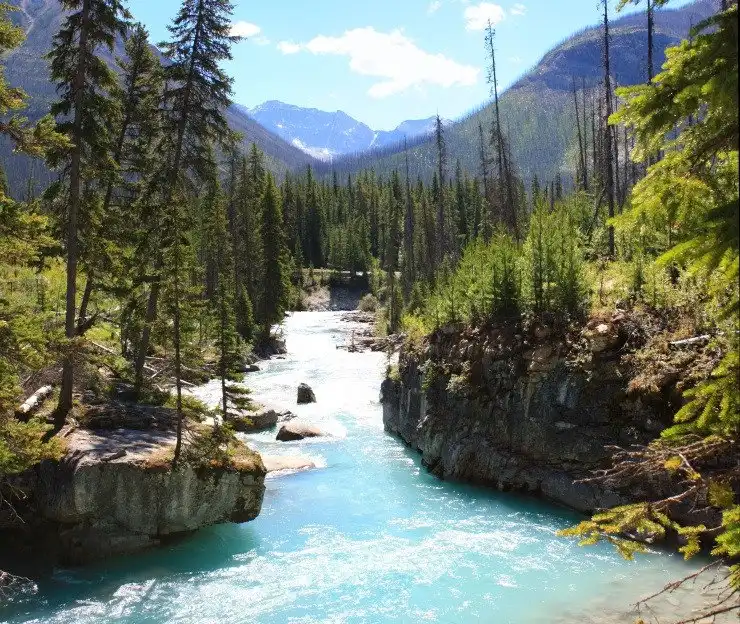 Regional District of East Kootenay