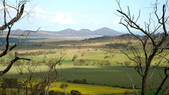 You Yangs Regional Park