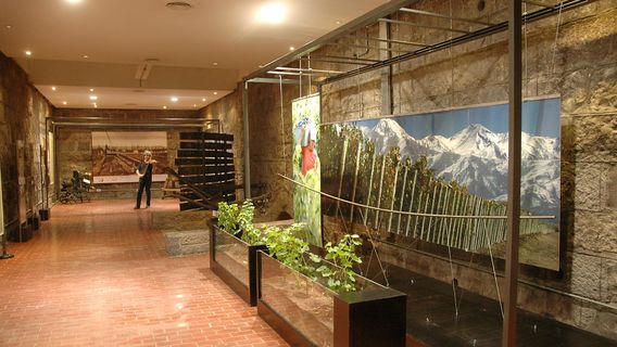 Mendoza