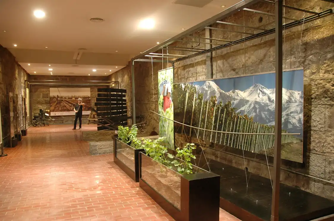 Hotel in zona La Enoteca