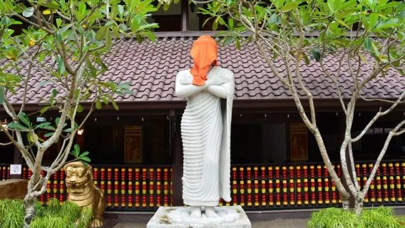 Semua jenis penerjemah, pemandu wisata , sewa kendaraan pribadi sewaan, fotografer, pendamping bisnis, pendamping medis, pemandu wisata, dan layanan kustomisasi di seluruh Sri Lanka