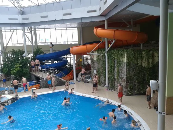 Aquatic Paradise