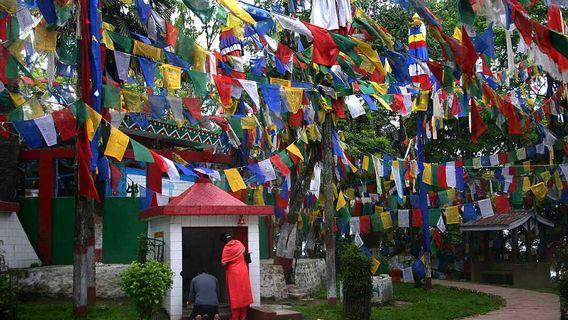 Observatory Hill View Point