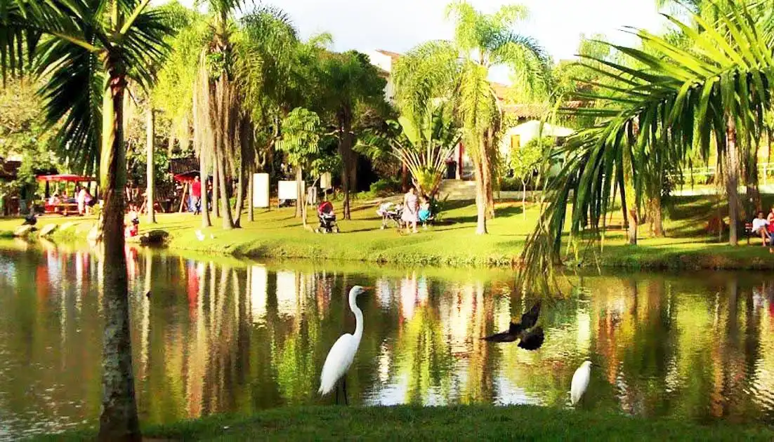 Parque Natural Municipal da Água Vermelha João Câncio Pereira附近的飯店