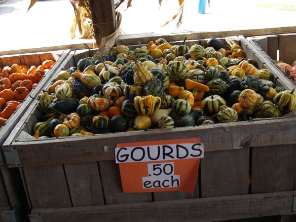Anderson Orchard