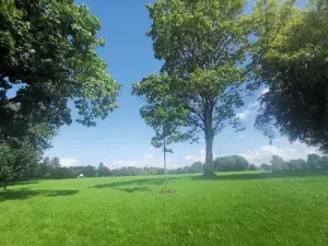 Moor Park