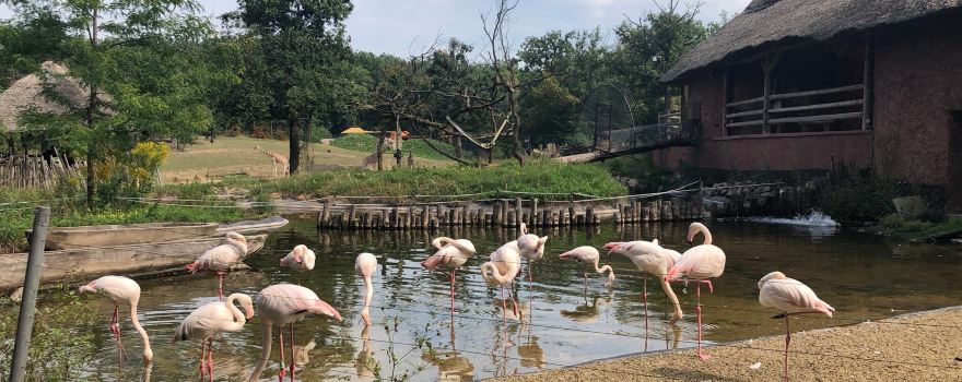 Zoo Brno