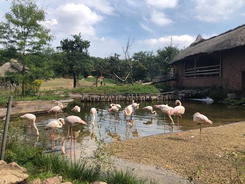 Zoo Brno