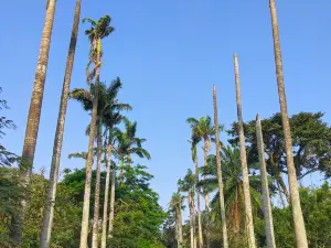 Legon Botanical Gardens Ghana..