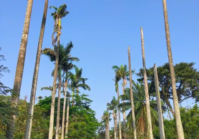 Legon Botanical Gardens Ghana..