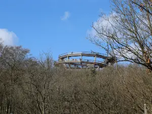 Baumwipfelpfad Steigerwald