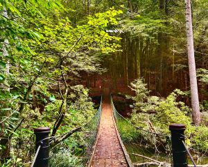 香港-克羅斯維爾 機票酒店 自由行