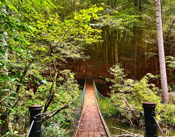 克羅斯維爾 自由行套票