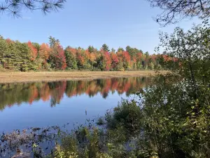 Maine Forest and Logging Museum