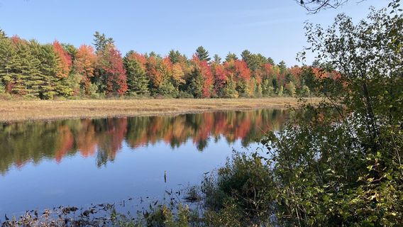 Maine Forest and Logging Museum