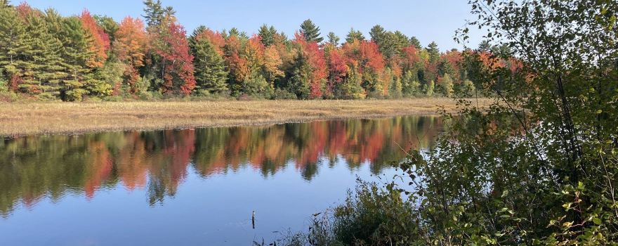 Maine Forest and Logging Museum