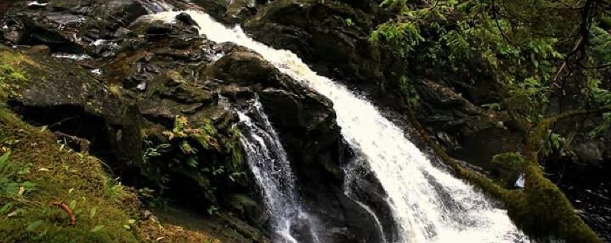 Plodda Falls