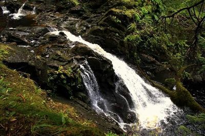 Plodda Falls