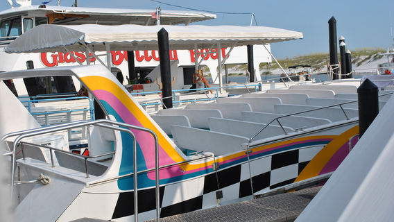 Destin's Original Sea Blaster