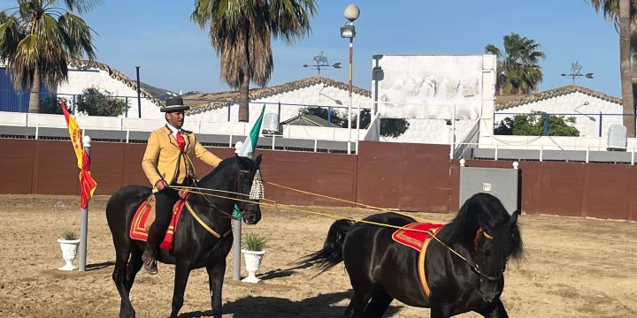 El Cartujano