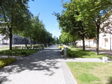 Pushkin Street