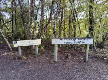 Waitangi
