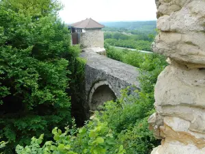 Site Médiéval du couvent des Carmes