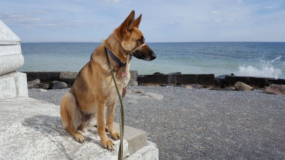 Presqu'ile Provincial Park