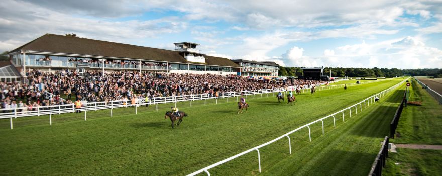 Lingfield Park Racecourse