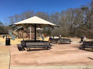 World of Wonder Playground