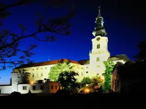Nitra Castle