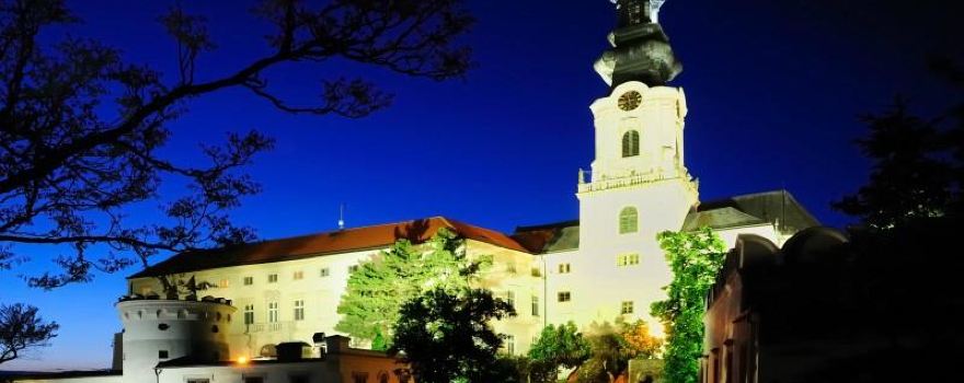 Nitra Castle
