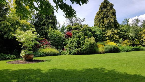 The Dingle (Nant y Pandy) Nature Reserve