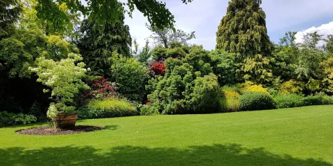 The Dingle (Nant y Pandy) Nature Reserve