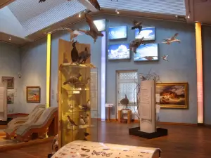 Bohusläns museum